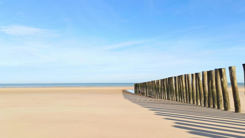 Agence SEO Charente Maritime - Référencement Local