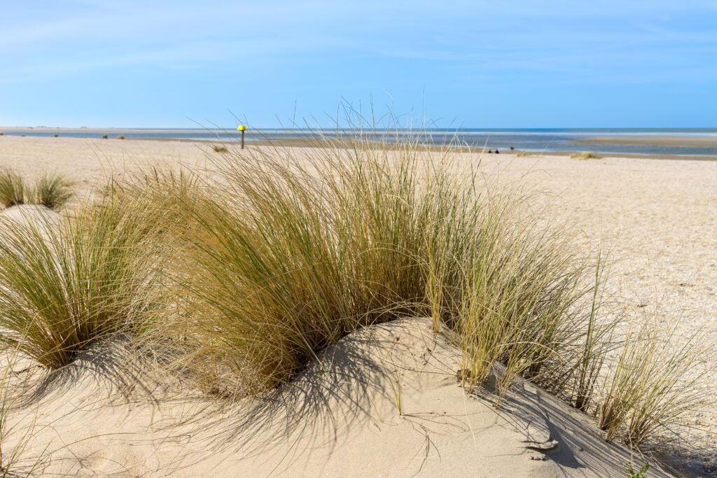Top 3 des meilleures agences web en Charente-Maritime (2026)